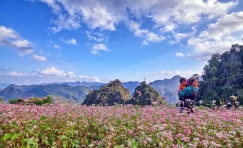 Beauty of Ha Giang Plateau 4 Days