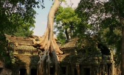 Essentials of Cambodia 4 Days 