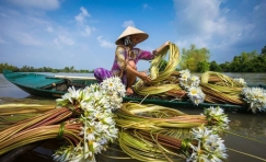 4D3N HO CHI MINH â€“ CU CHI â€“ MY THO