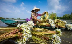 Amazing Landscapes in Vietnam