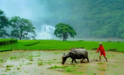 Northeast Vietnam Adventure 5 Days