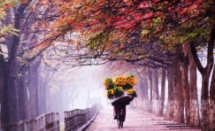 Highlights of Vietnam and Cambodia 9 Days