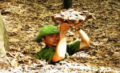 4D3N HO CHI MINH â€“ CU CHI â€“ VUNG TAU